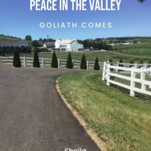 THE INCREDIBLE HULK PEACE IN THE VALLEY Paperback